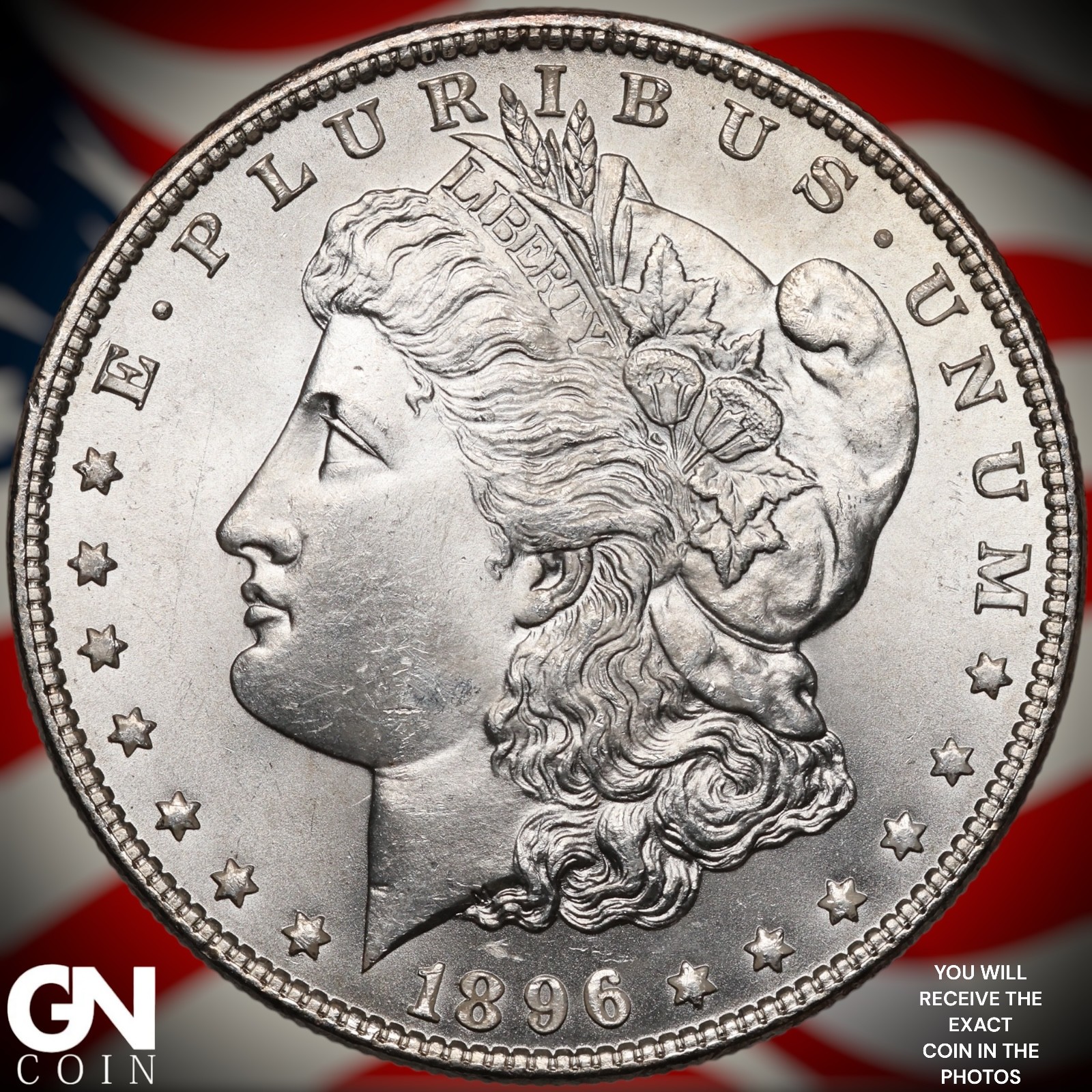 1896 P Morgan Dollar A9901