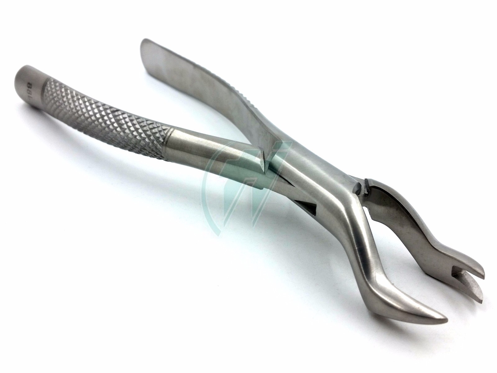 O.R GRADE PASSIVATED AUTOCLAVABLE DENTAL EXTRACTING EXTRACTION FORCEPS #88L