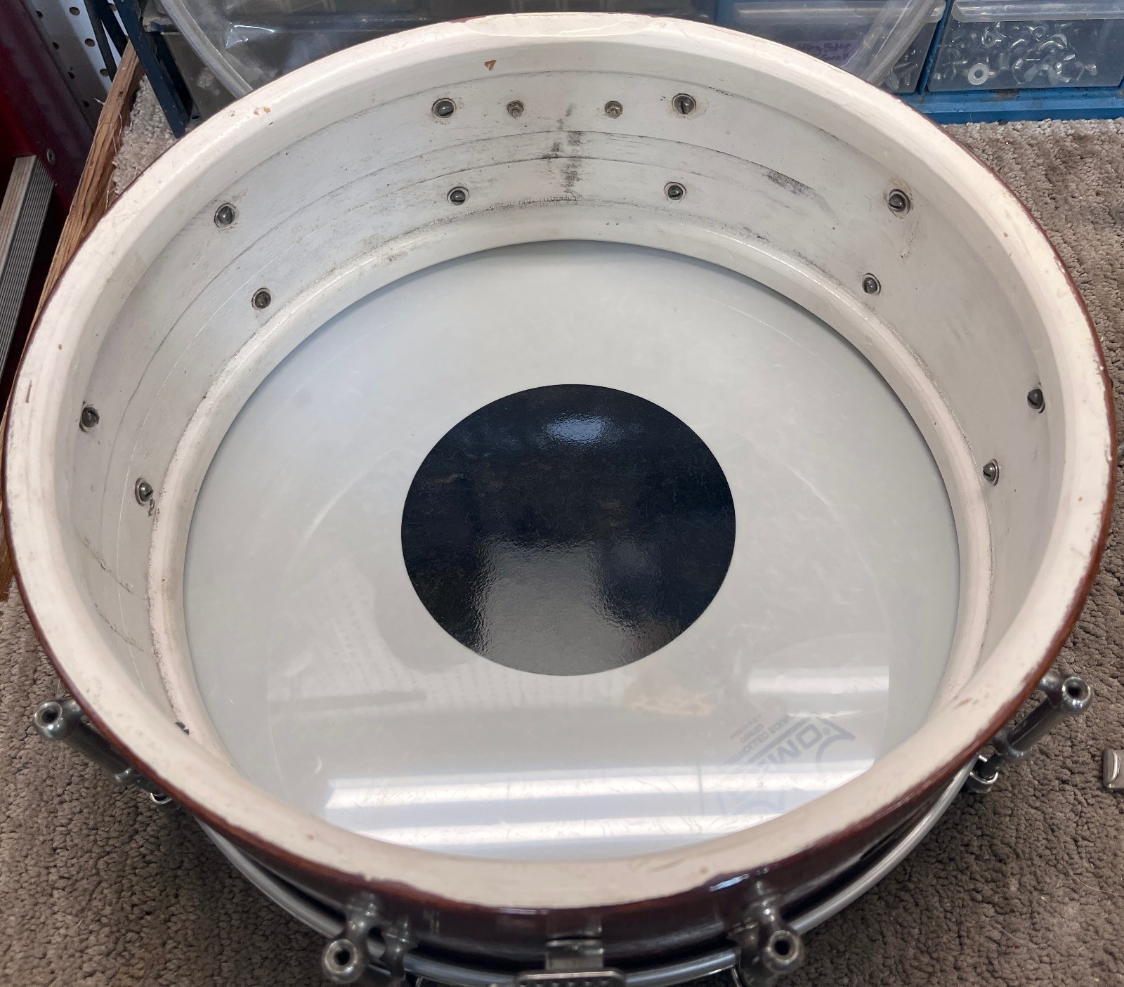LUDWIG Professional Model 5x14 10-Lug Snare Drum Solid Walnut Shell 1920s Vtg