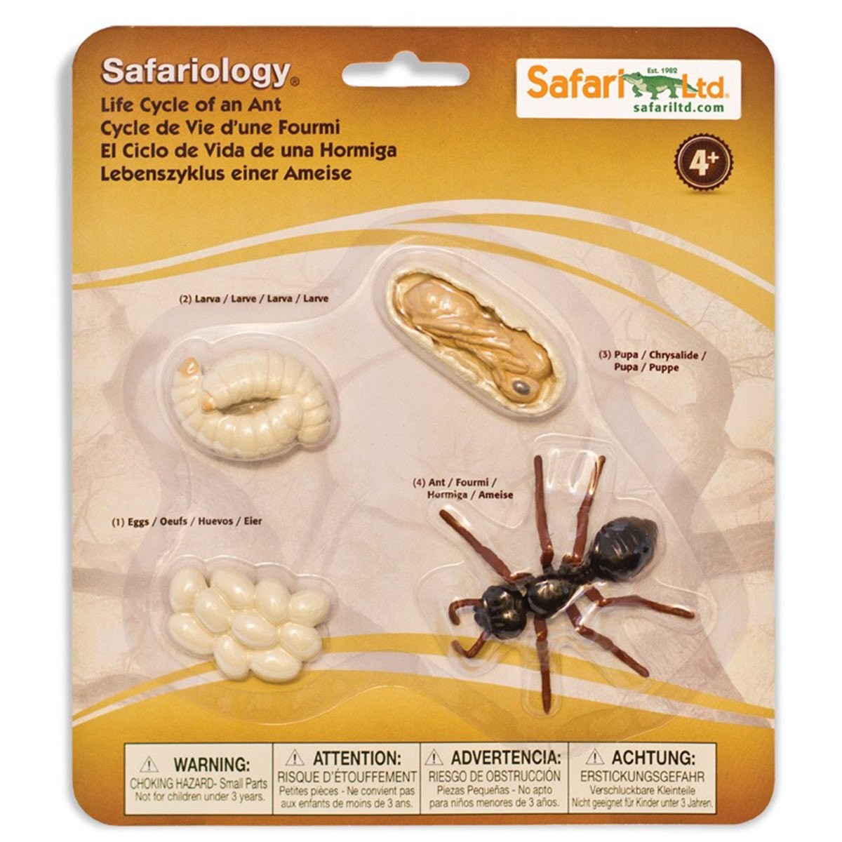 Life Cycle Of An Ant Figures Safari Ltd NEW Toys Educational Figurines