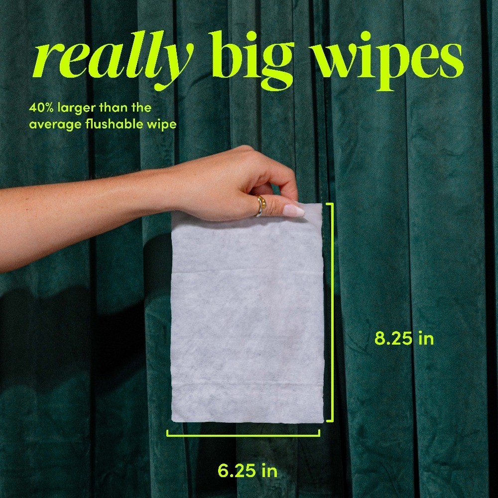 Flushable Lavender Scented Wet Wipes 3 Packs 150 Count Moist Toilet Tissue