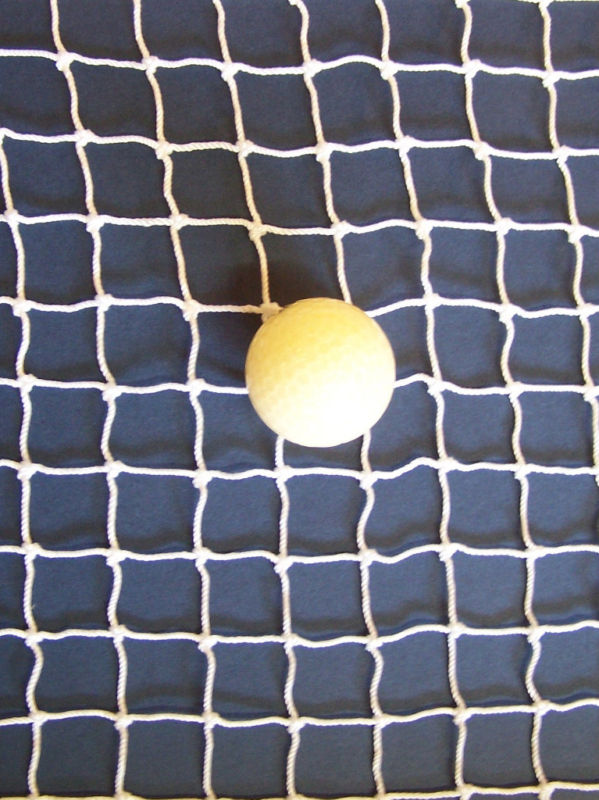 10' Feet x 16" Inches White Square Mesh Nylon Hockey Golf Netting  1" #18
