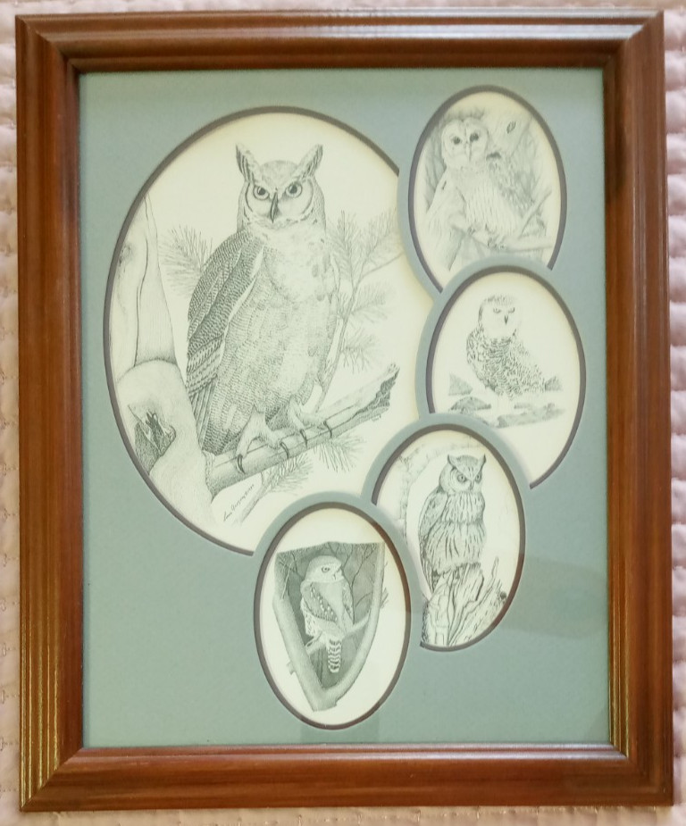 Vintage 1989 Framed "5 Owls" Pen & Ink Drawing By Louis Gregorie 11 x 14" L@@K!