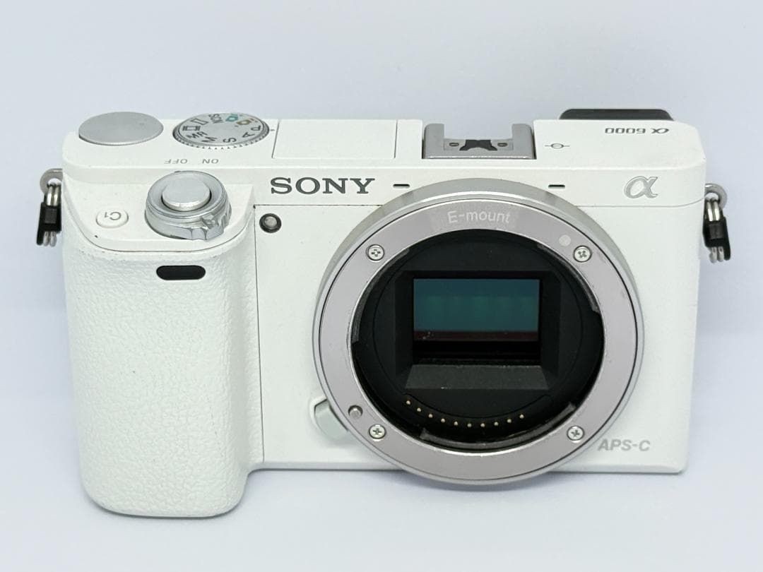 SONY α6000 Mirrorless Camera Double Zoom Lens Kit White