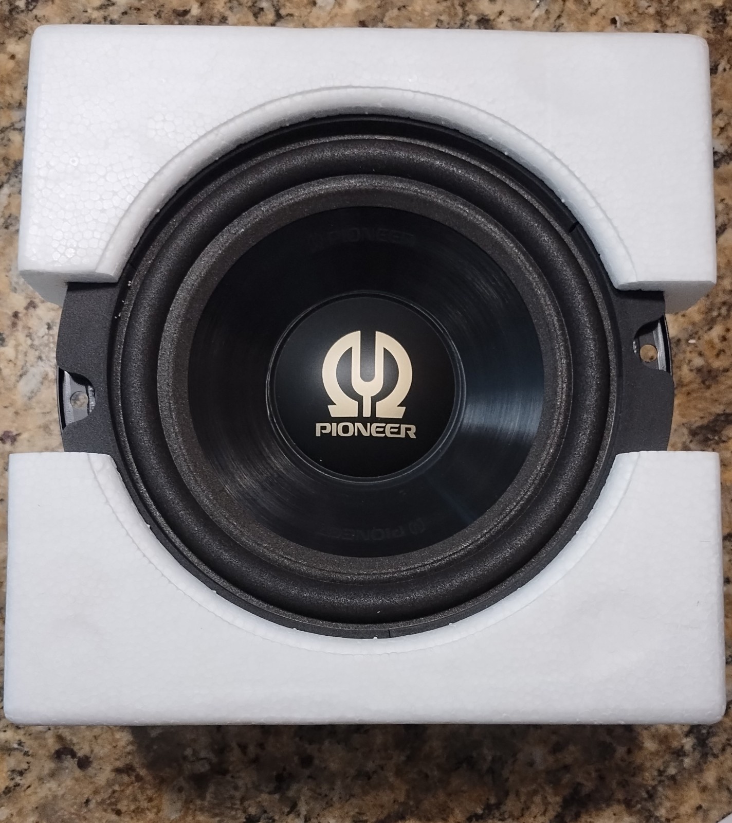 Rare Vintage Pioneer TS-W201C Woofer - Oldschool
