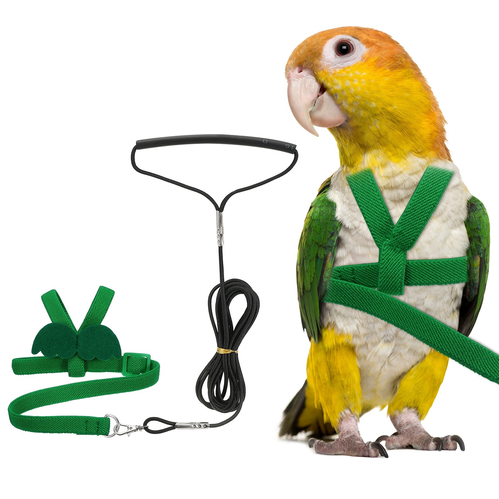 Bird Harness Leash, Pet Parrot Bird Harness and Leash with Cute Wing (Green, M)