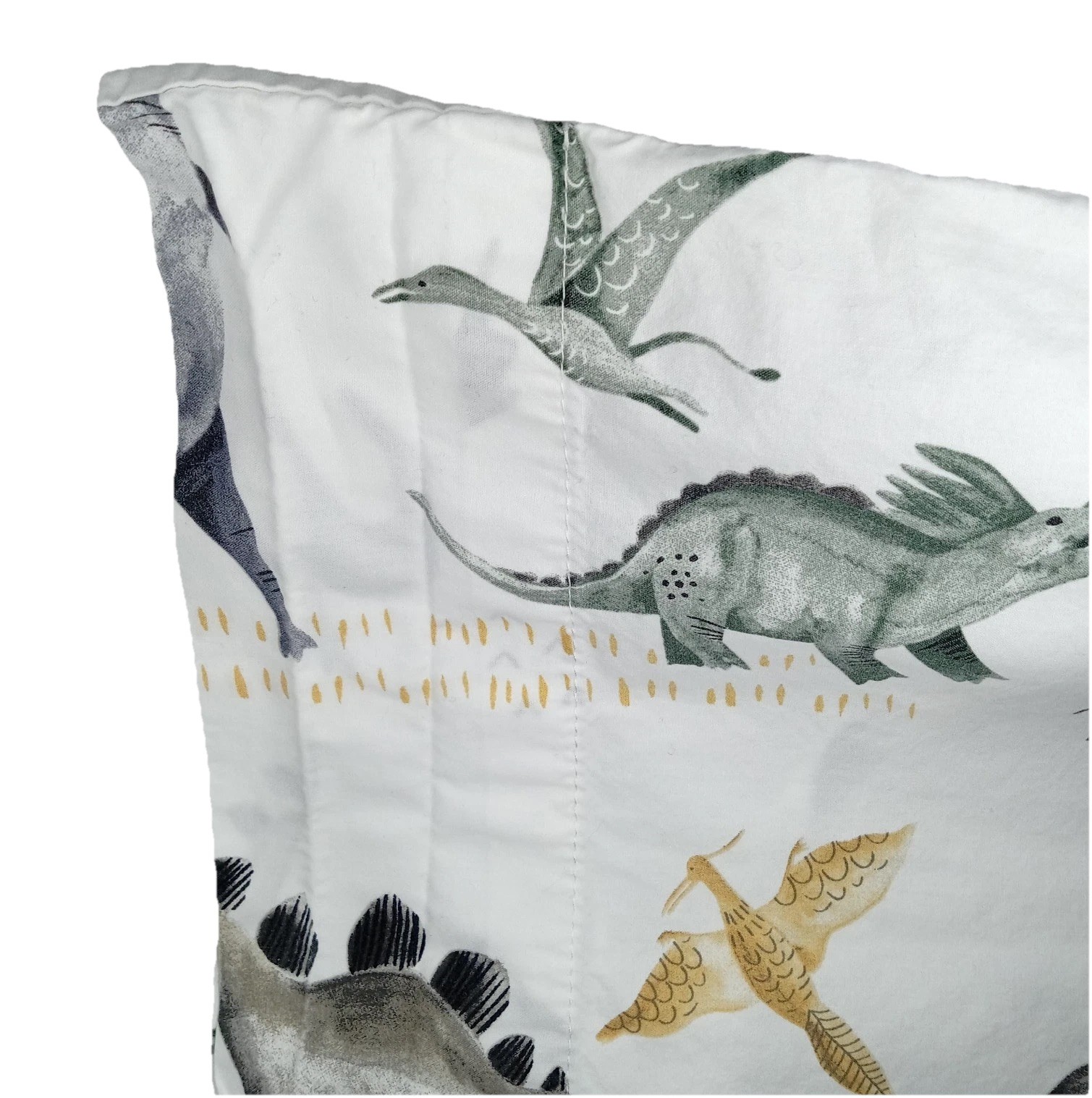 Pottery Barn Kids Organic Cotton Pillowcase Standard Size Boys Dinosaur Theme