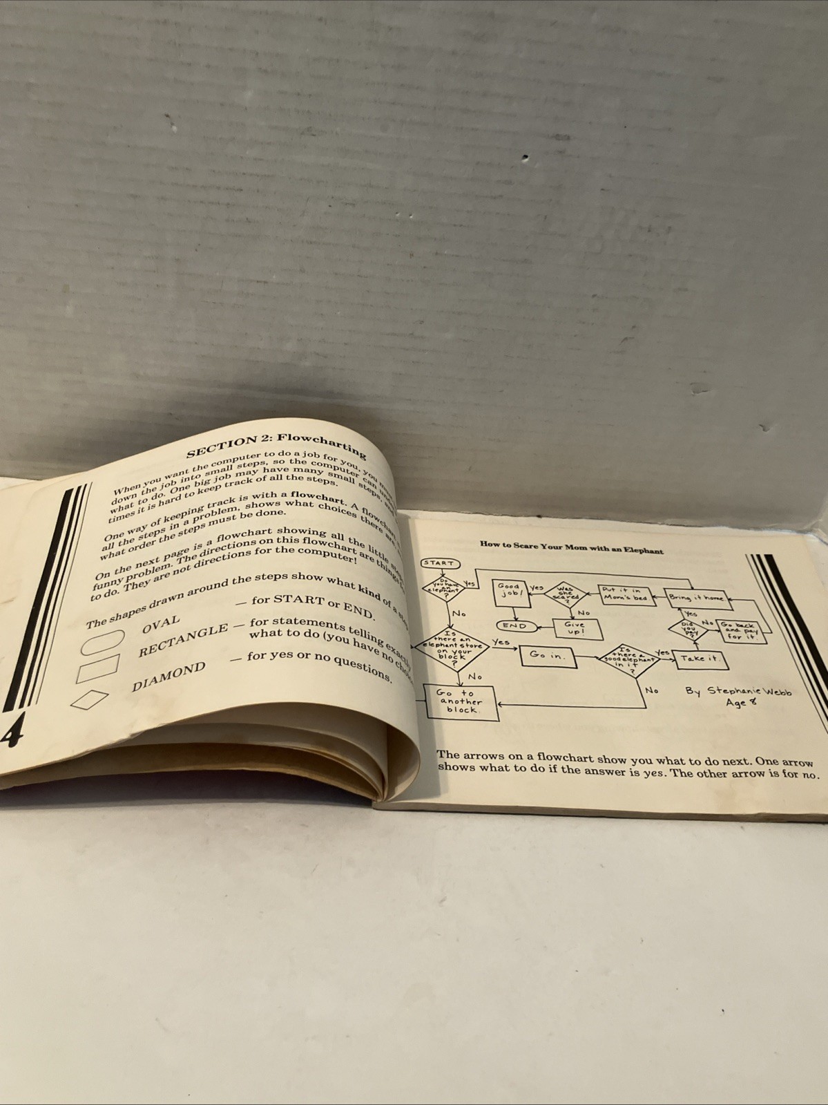 Vintage 1983 Computers For Kids VIC-20 Edition Basic Programming Manual Used