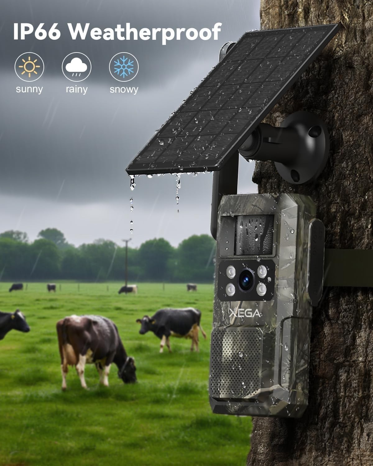 Remote Wildlife Surveillance with 4G LTE Trail Camera - TF and Cloud Storage