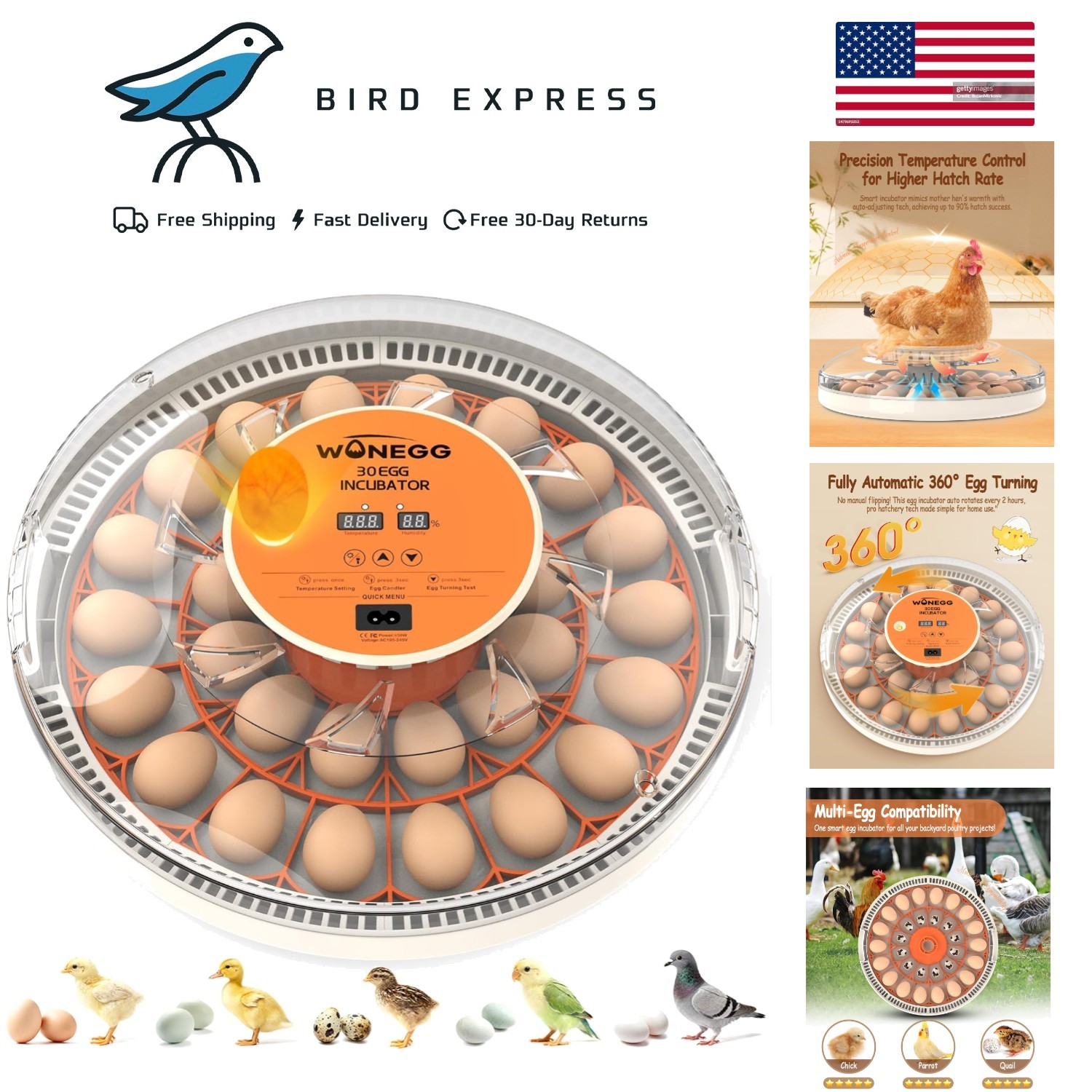 30 Egg Incubator with Auto Turn, Humidity & LED Candler for Chicken Quail