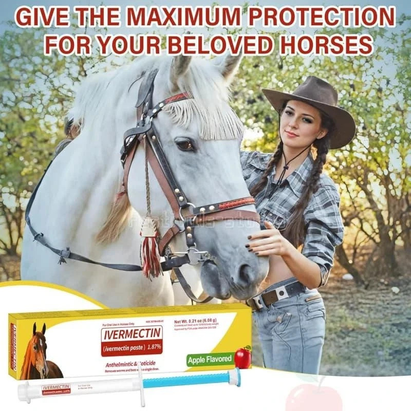 12 pack Paste Horse Dewormer Apple Flavor (6 DOSES)-1/2028