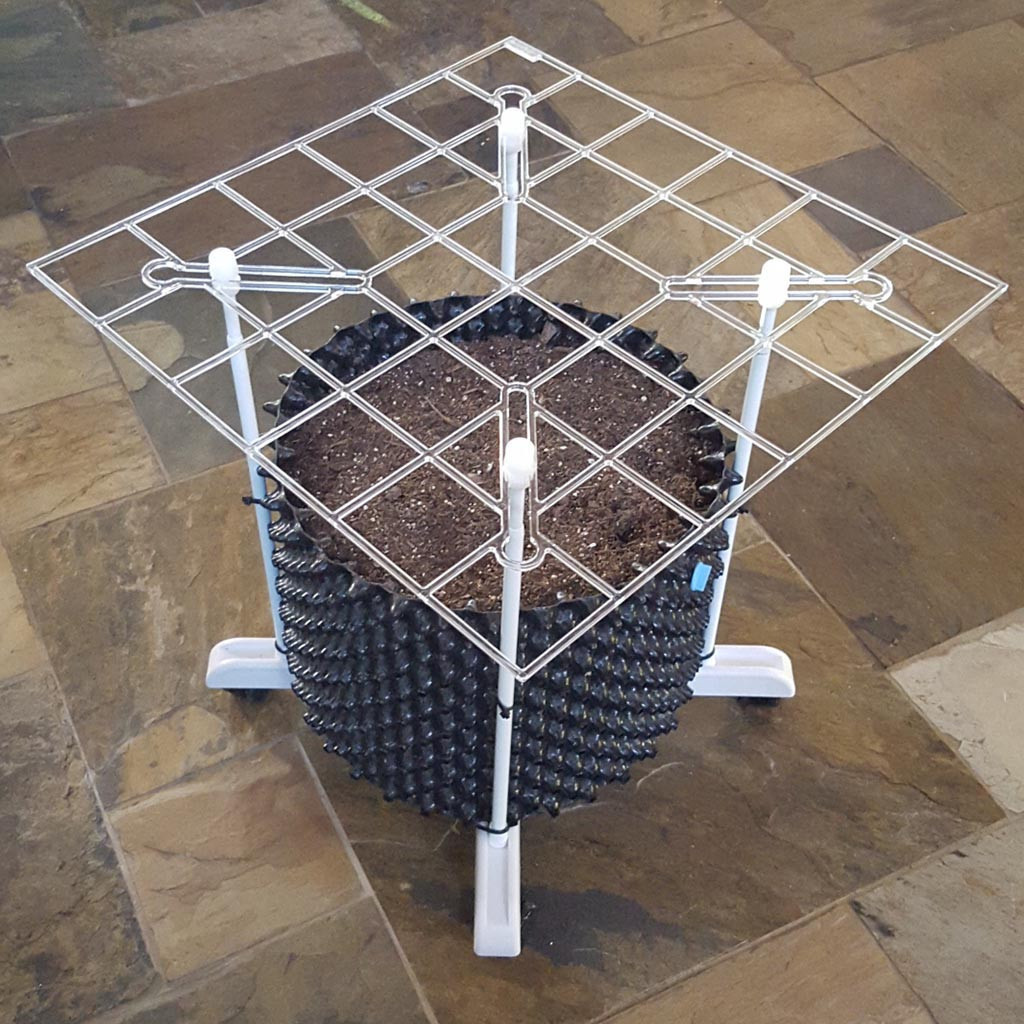 ScrOG Kit - "P SCROG Single Screen" shown with DWC bucket
