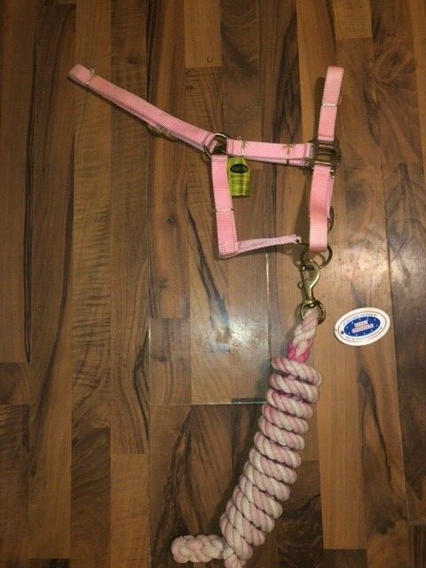 NEW GATSBY PINK PONY HALTER WITH DERBY ORIGINALS SOFT ROPE LEAD LINE