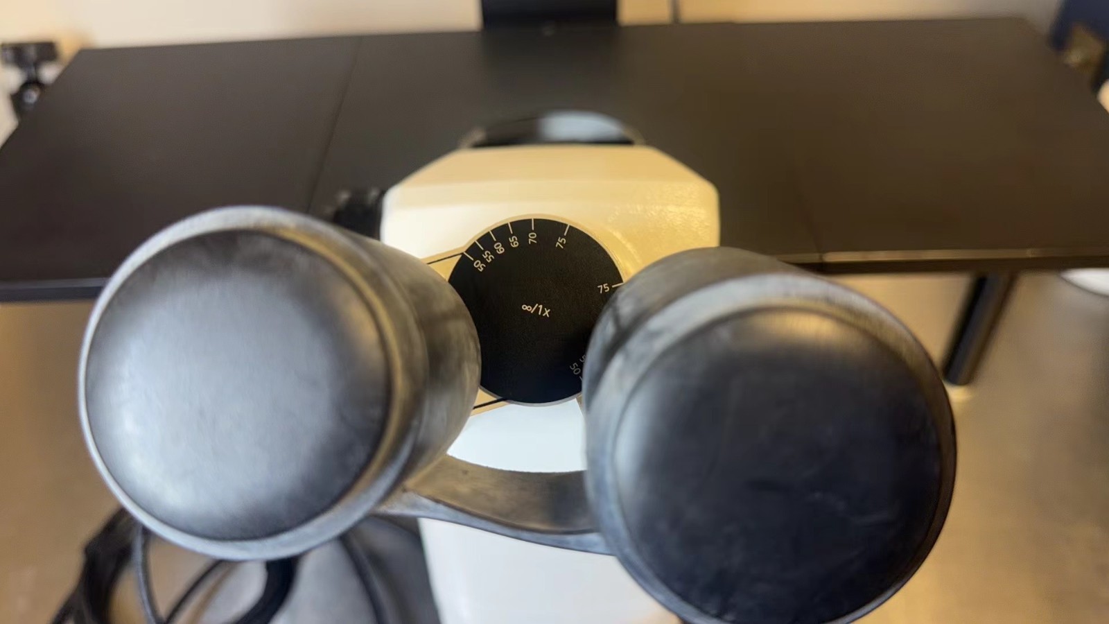 Zeiss Axio Vert.A1 Inverted Fluorescence Microscope w/ Axiocam 105 & 4 Objective