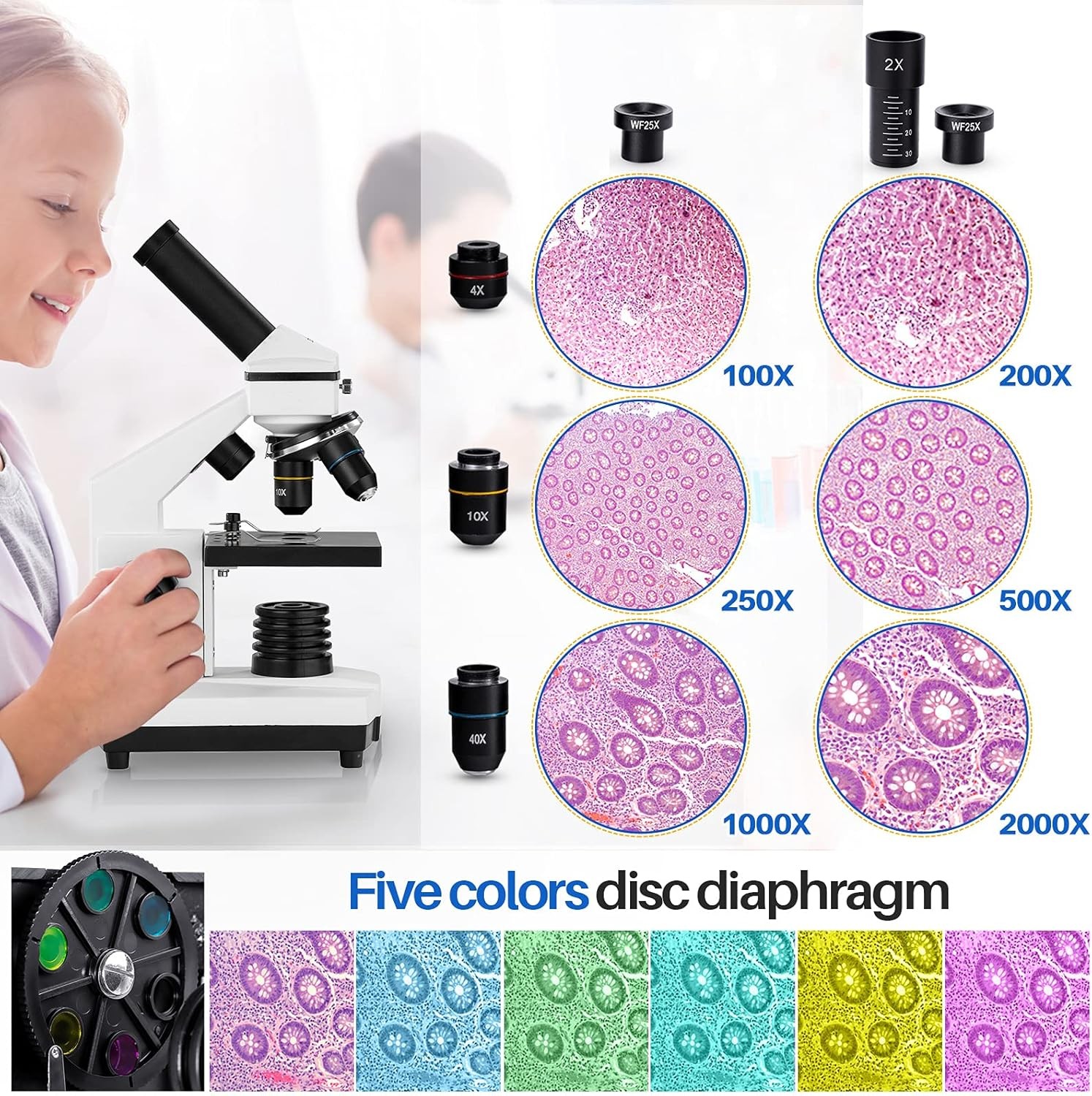 Microscope Adults Kids 100X-2000X Compound Microscope W/ Microscope Slides