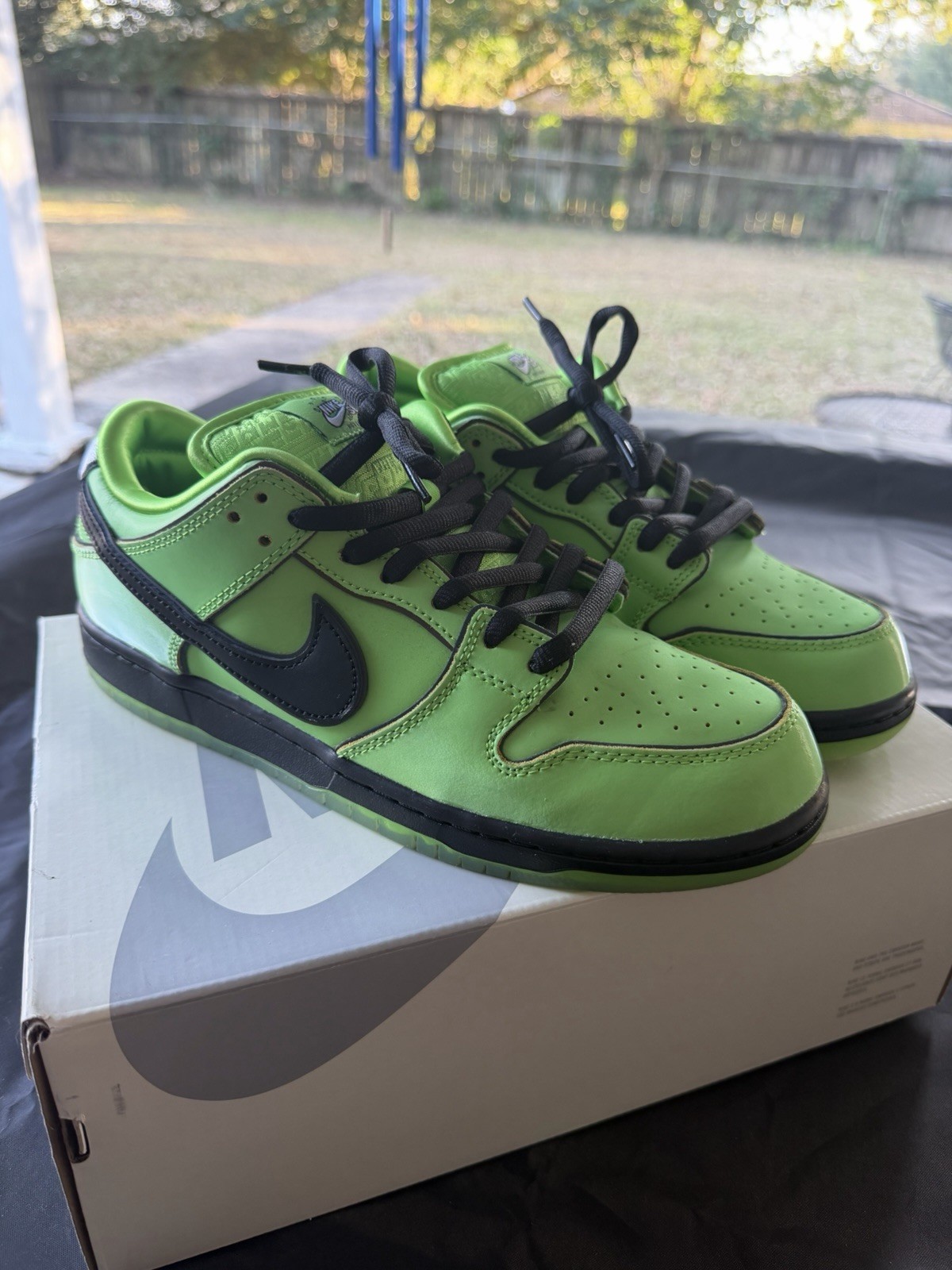 Nike SB Powerpuff Girls Green Skateboarding Shoes US Size 9.5