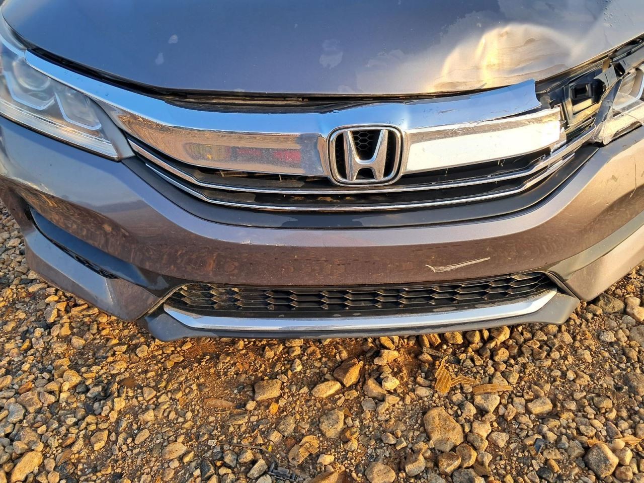 ACCORD 2017 Glove Box 4779143