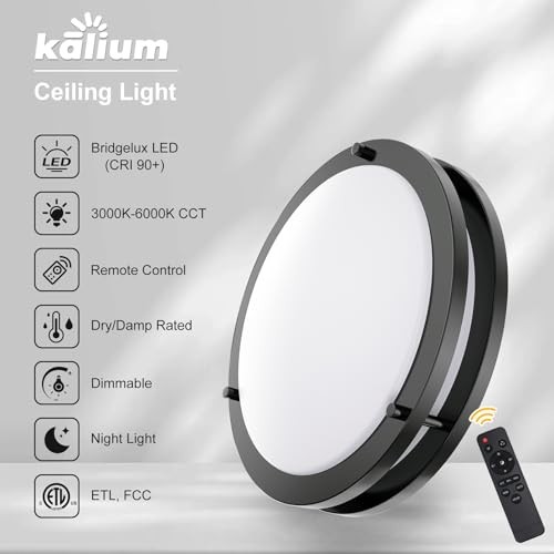 LED Ceiling Light with Remote 2 Pack 16 Inch Flush 16inch 2Pack Matte Black