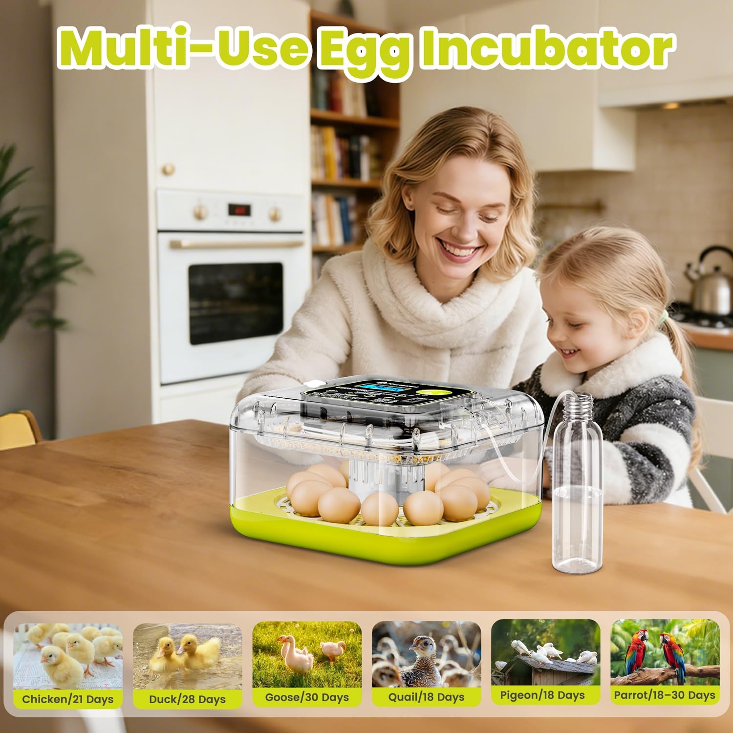 Egg Incubators for Hatching Eggs, 12 Egg Incubator with Automatic Egg Turning...