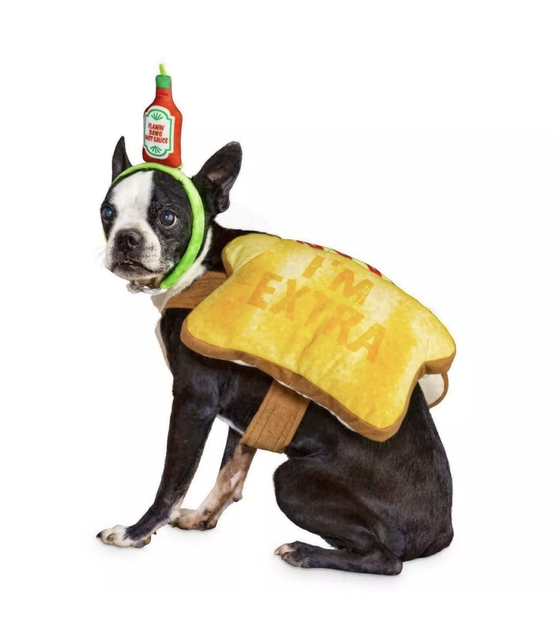 Bootique Toast of The Town Dog Costume Dress Up Halloween Size Large
