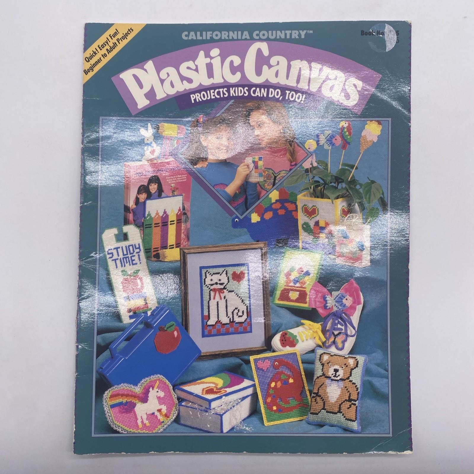 California Country Plastic Canvas Projects Kids Can Do Too Cross Stitch Booklet