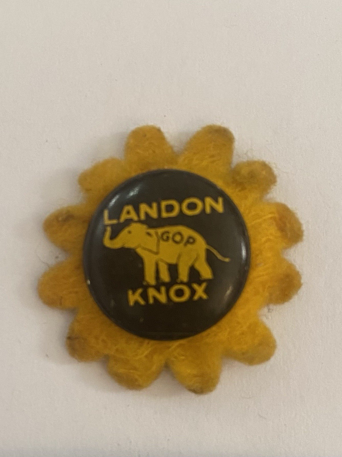 Landon Knox GOP Political Pin Back Button P196