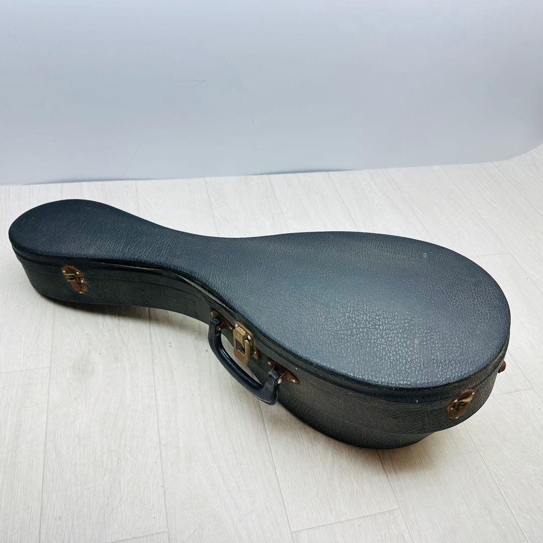 KUNISHIMA Mandolin 104