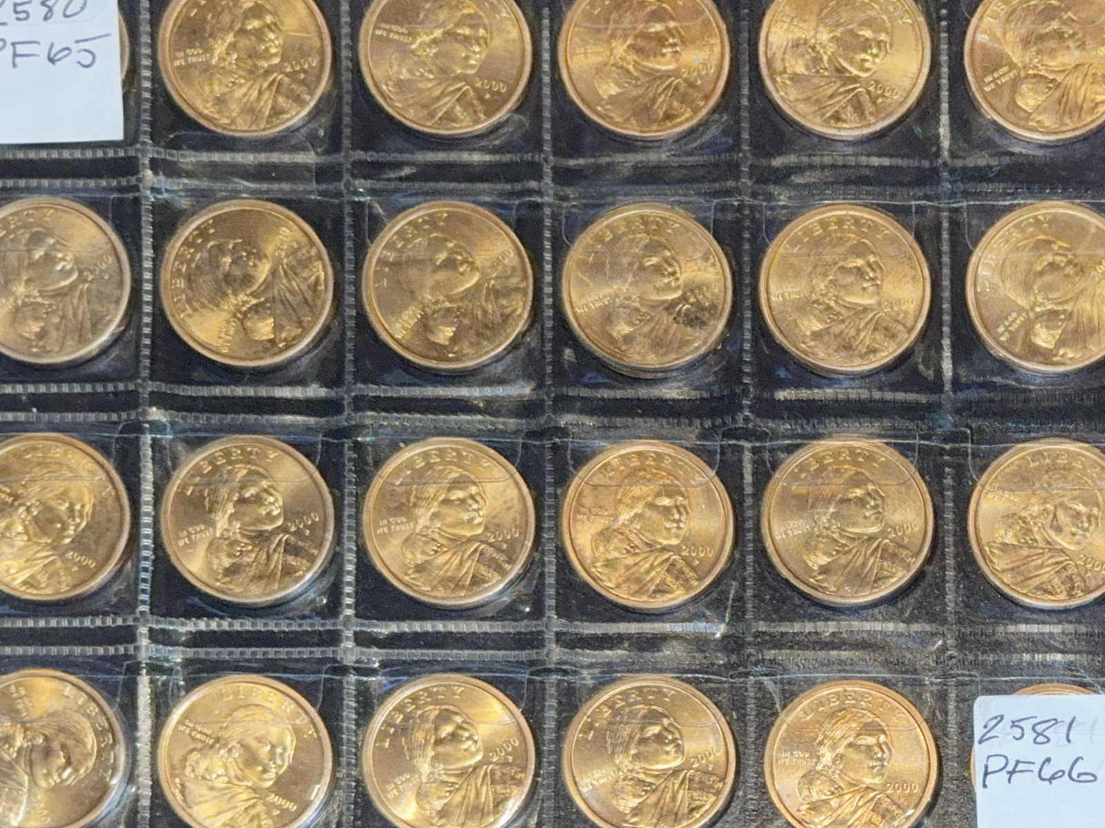 2000 Sacagawea dollar coin set (2580)