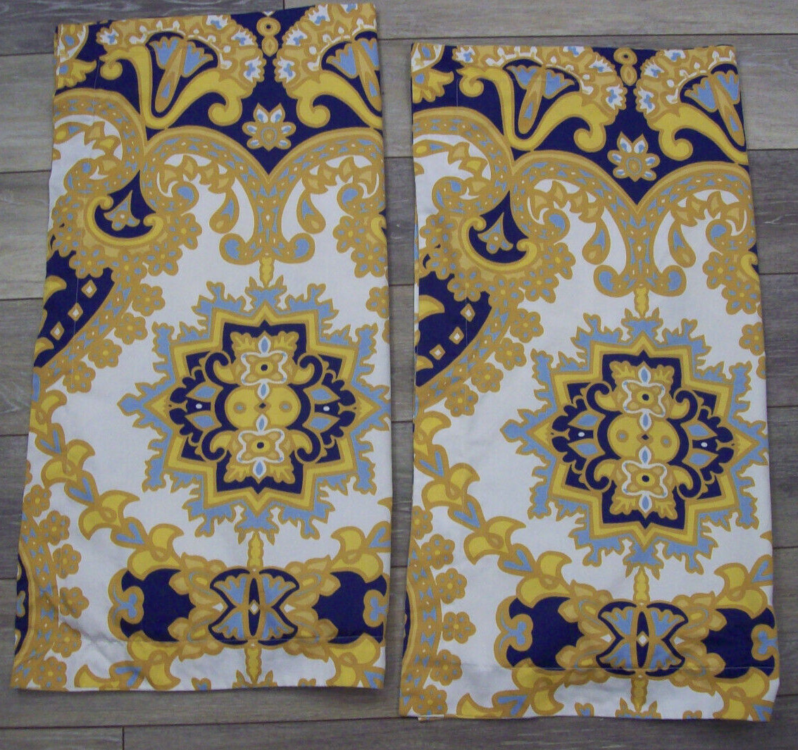 Pottery Barn Blue Gold Paisley Euro Shams Set of 2~Organic Cotton