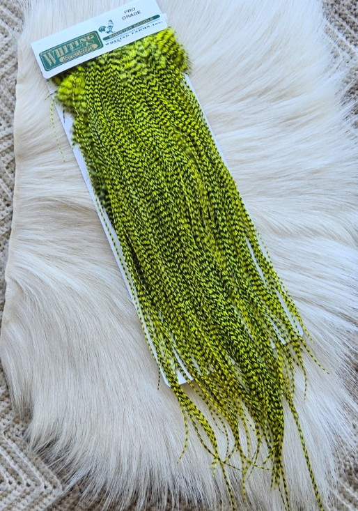 Whiting Saddle Hackle. Full Saddle,, Grizzly Dyed Kelly Green. Free Shipping.
