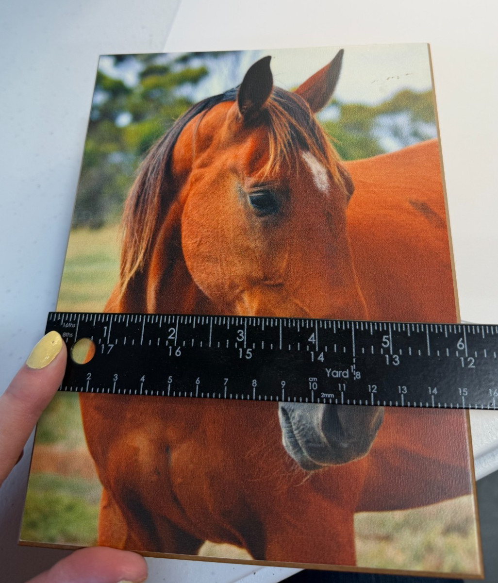 Unbranded Horse Print Cedar Keepsake Memory Box 8" x 6"