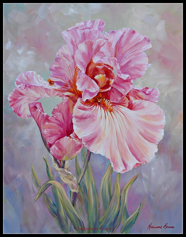 Pink Iris 4 - Counted Cross Stitch Patterns - Color & BW Symbols