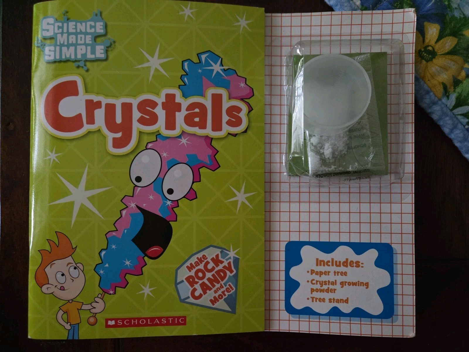 Scholastic Science Made Simple Crystals Book And Kit New