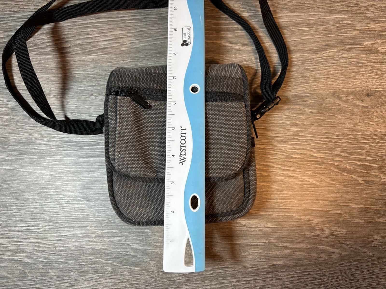 Nintendo Ds Gray Travel Bag