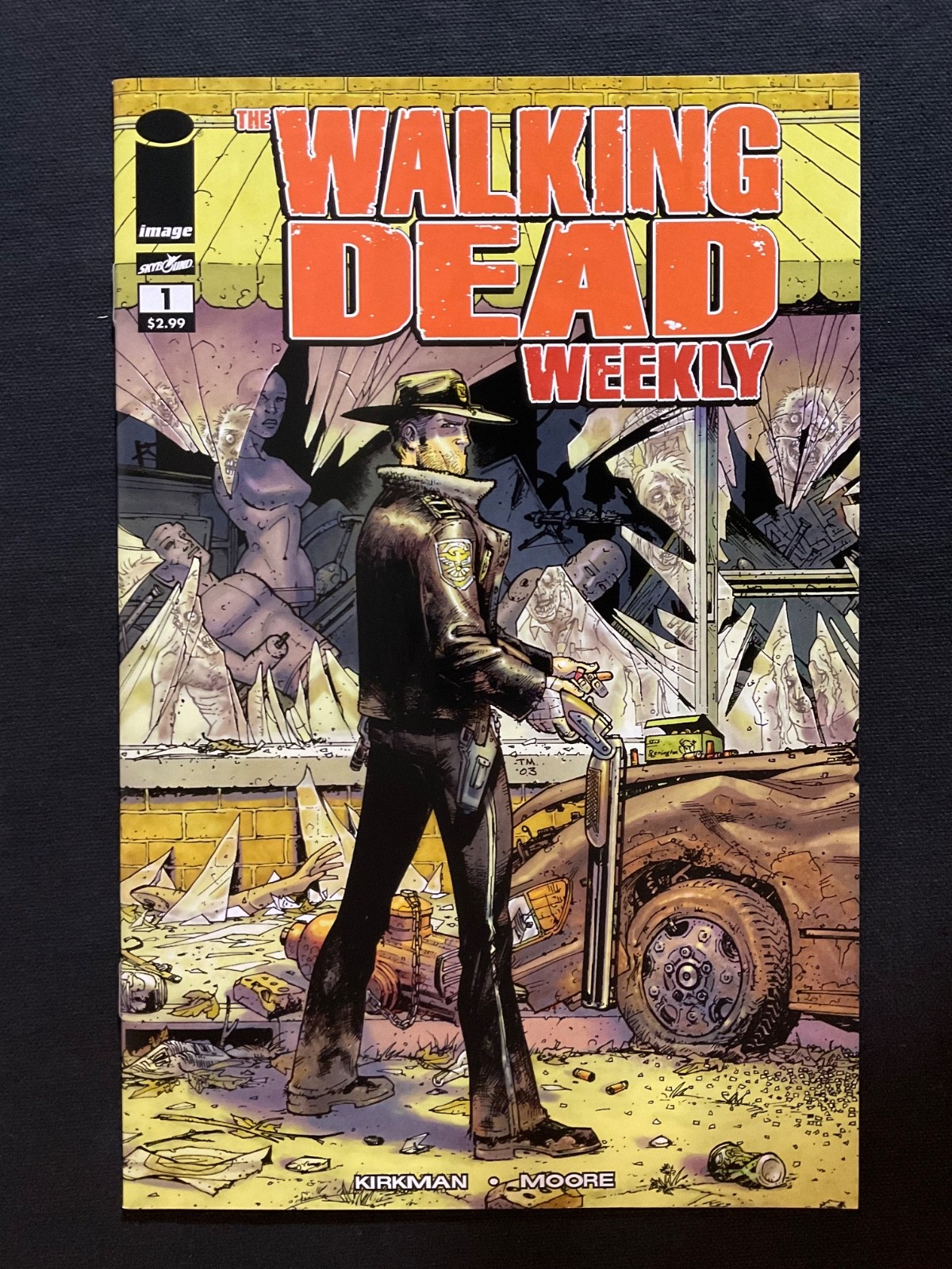 Walking Dead Weekly - Image Comics 2011 - You Pick !