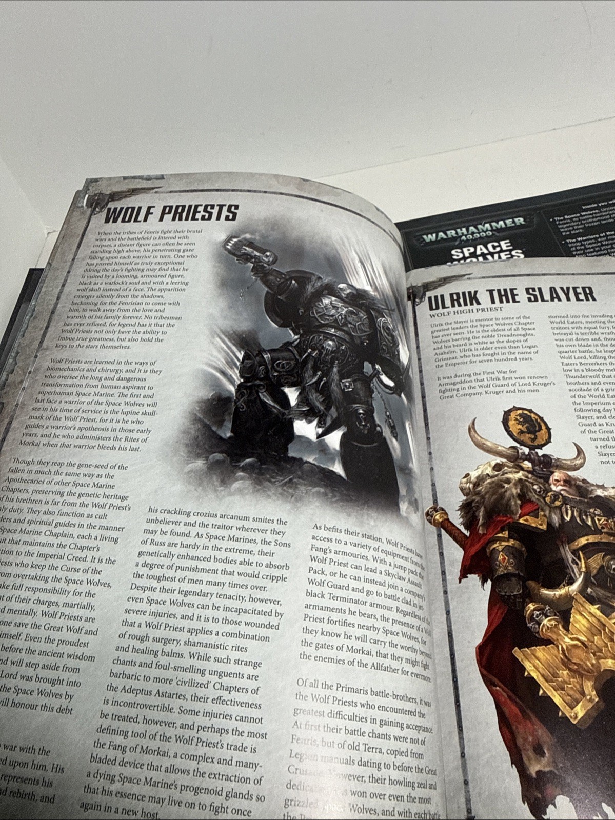 Warhammer 40k Space Wolves Codex and Supplement Lot