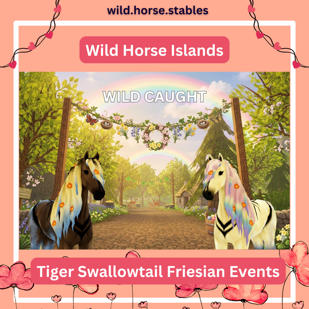 🦋 Wild Horse Islands - Tiger Swallowtail Friesian Events 🦋