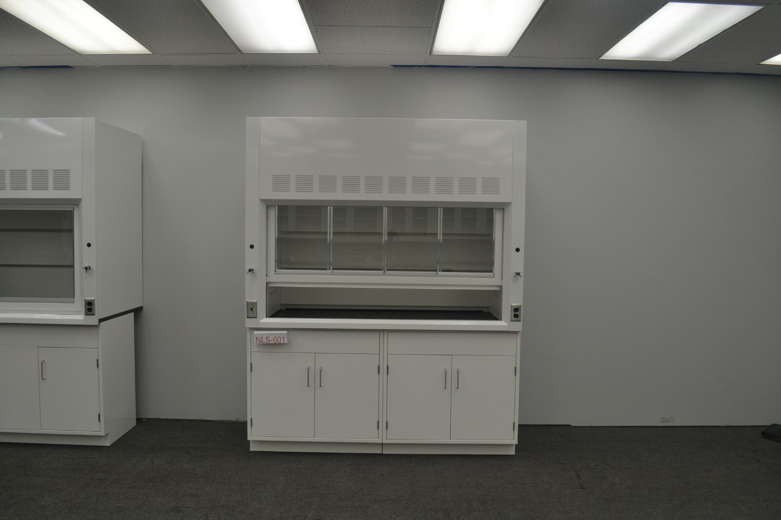 Laboratory 6' Fume Hood Enclosure w/ General Storage /  E2-019