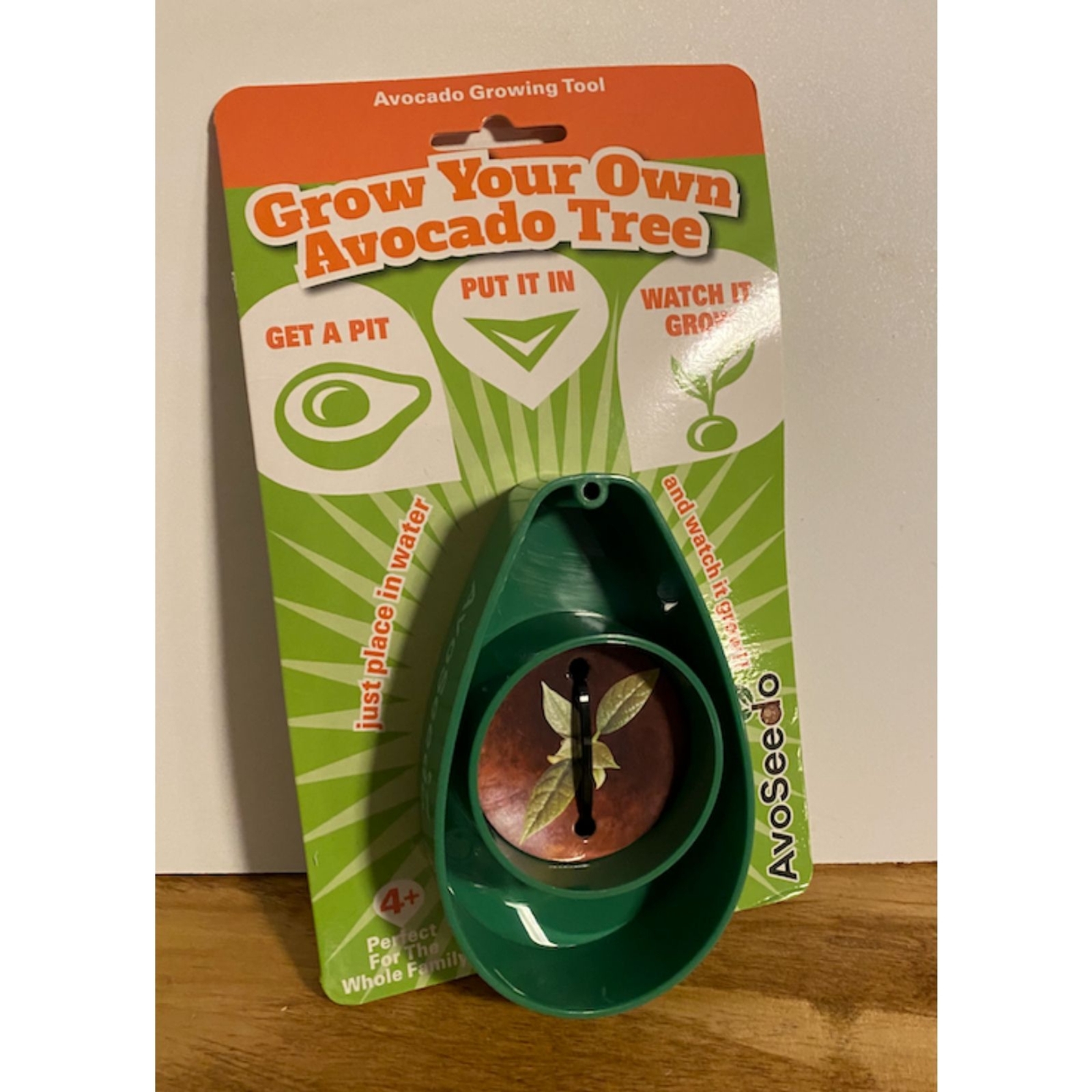 NEW* AvoSeedo - Bowl Grow Your Own Avocado Tree