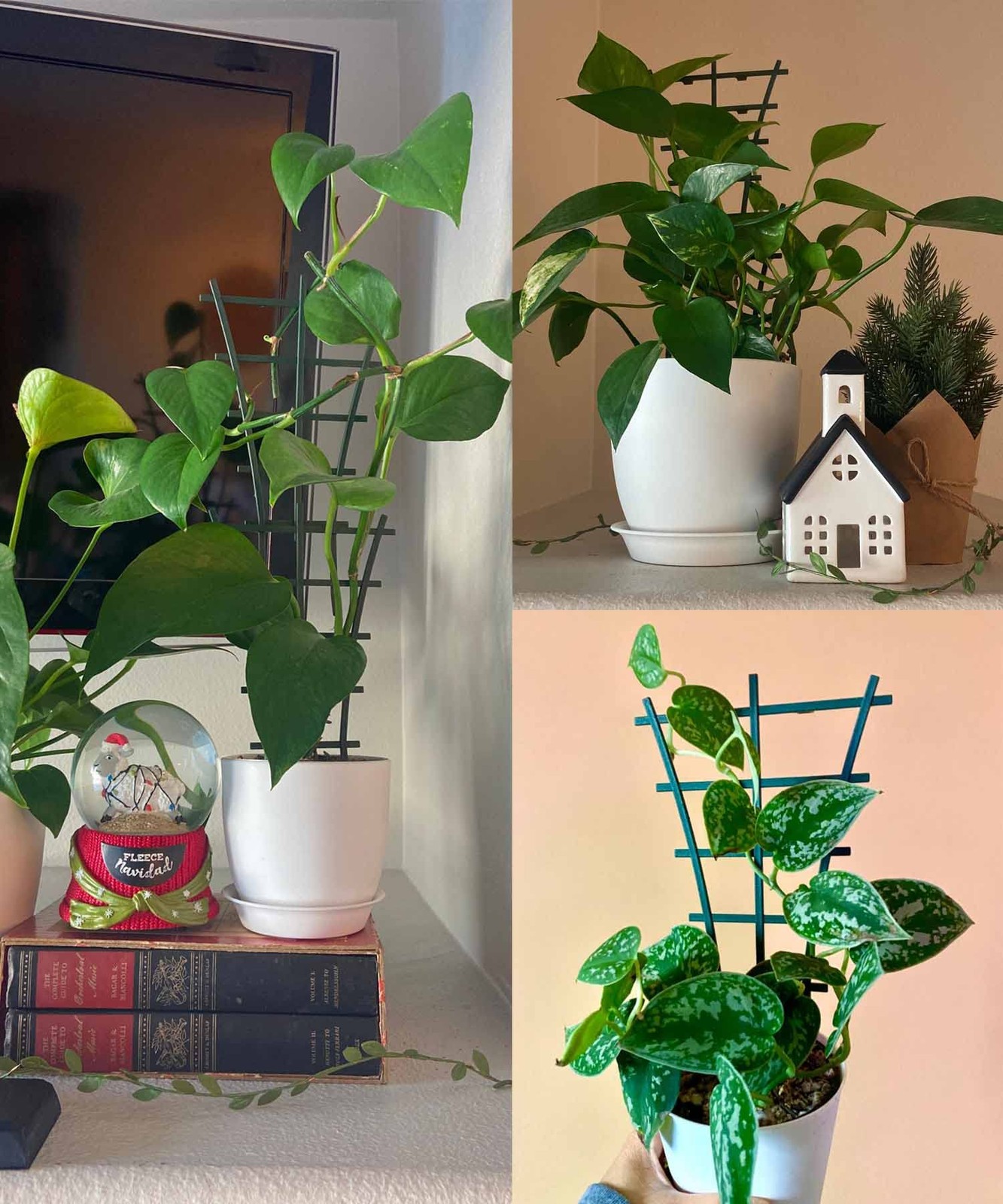 Feitore Plant Trellis Indoor, 6Pcs Stackable 6 Pcs, Dark Green