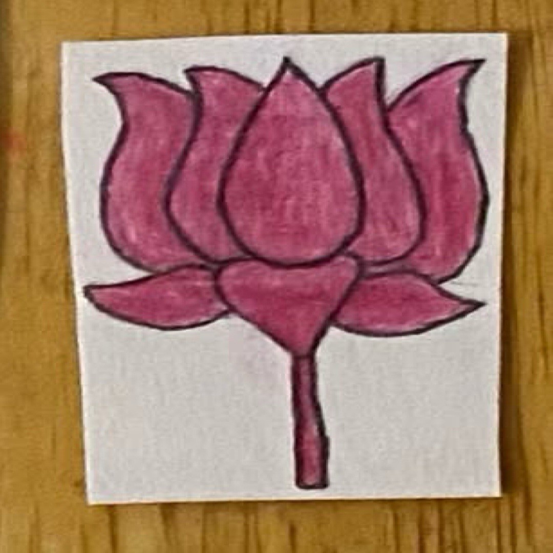 Hibiscus Flower Drawing