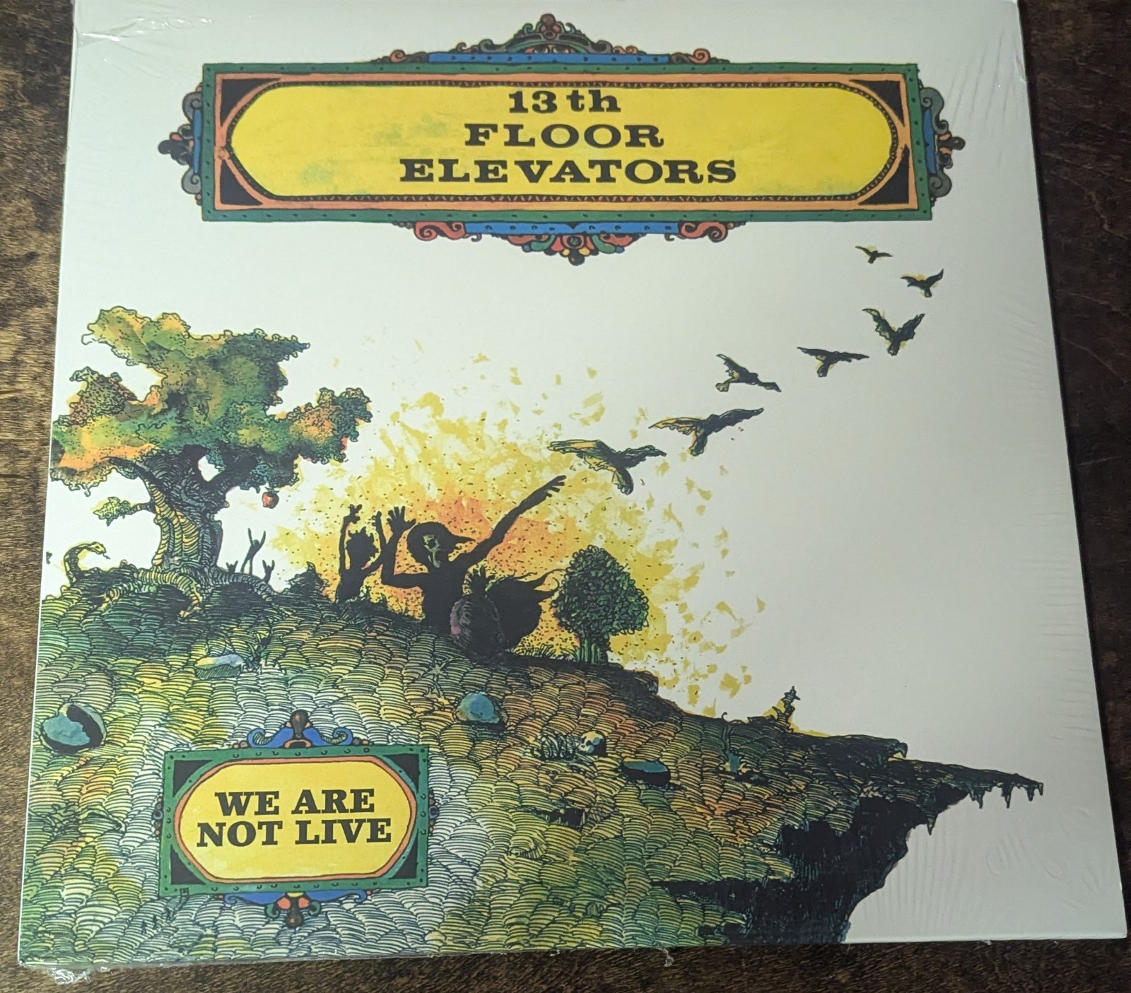 13th Floor Elevators - The 13th Floor Elevators - We Are Not Live Vinyl, LP, Rec