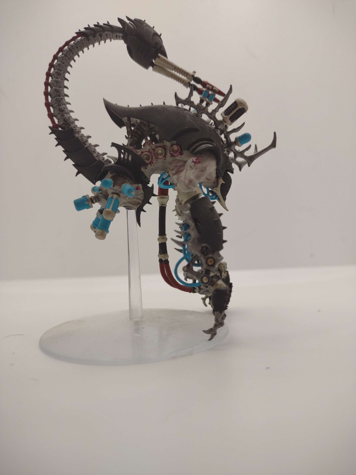 Drukhari Taloswarhammer 40k