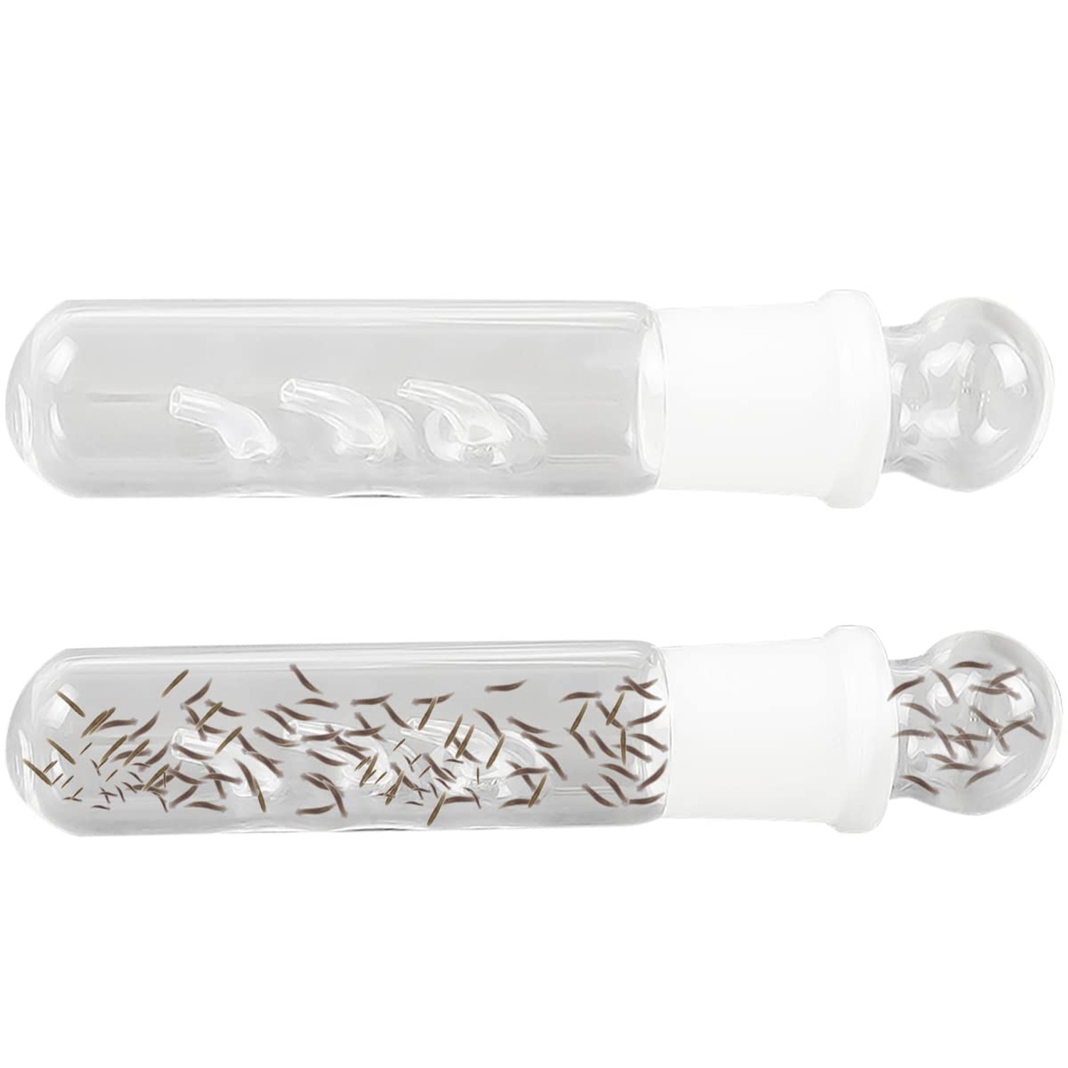 Cunguv Planaria Trap Leech Trap Flatworm Trap 3 Holes Leeches Catcher Glass T...