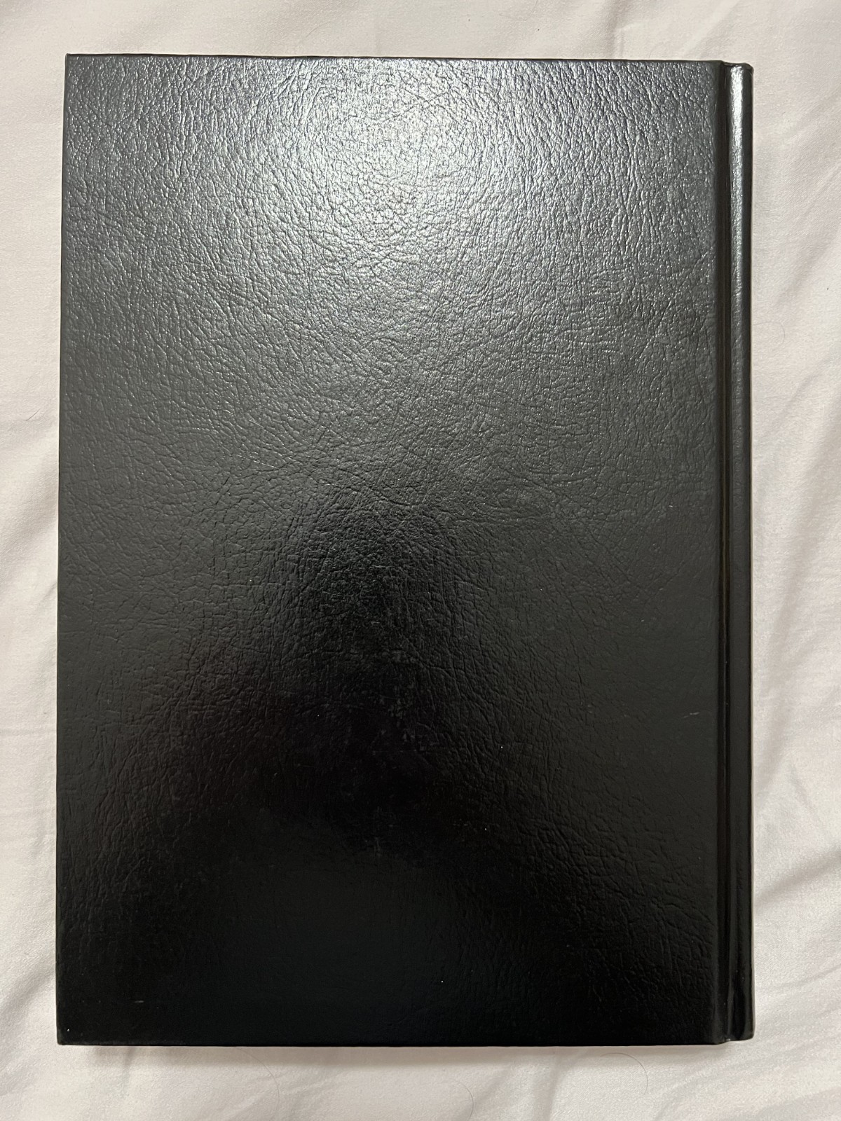 Bruce Cervon's Castle Notebooks Volume 1 - Notebook 1,2,3