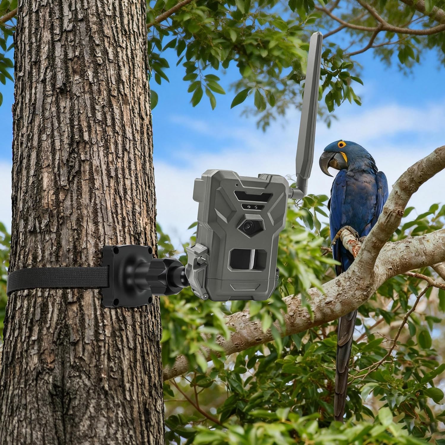 Trail Cameras Mount, Holder for Game Camera, Outdoor Camera Mounting Bracket wit