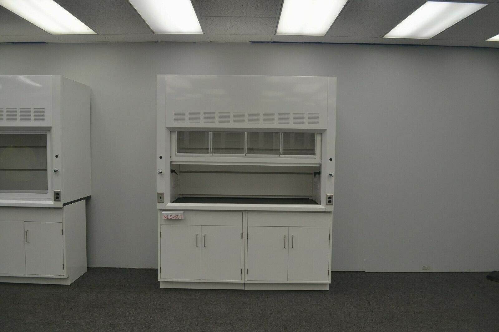Laboratory 6' Fume Hood Enclosure w/ General Storage / E2-019