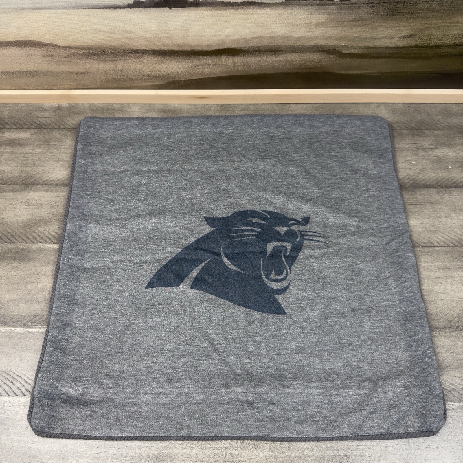 Pottery Barn Teen NFL Carolina Panthers Sweatshirt Pillow Cover 18" Gray NWOT