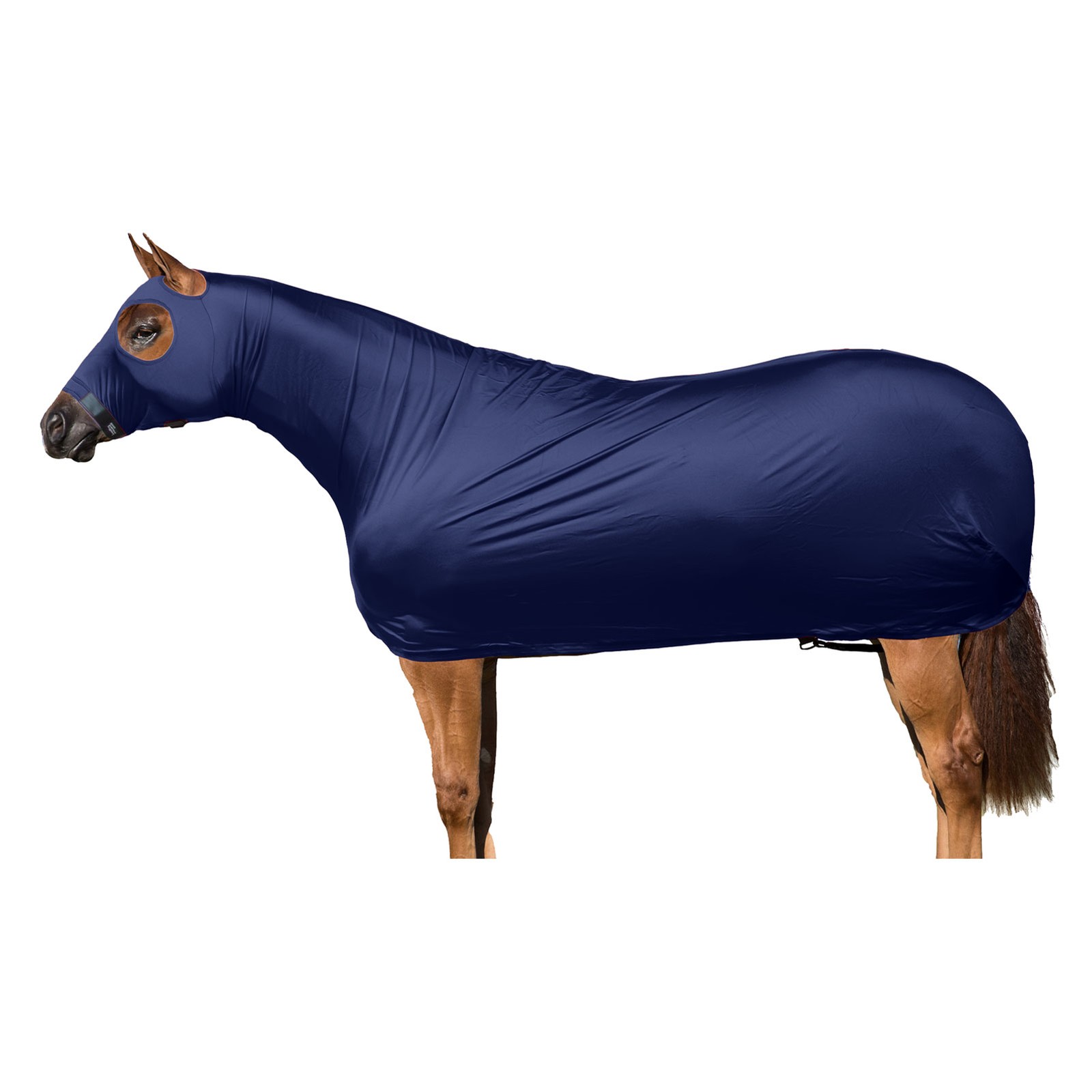 SLEAZY SLEEPWEAR Solid Full Body Navy Blanket (0812)
