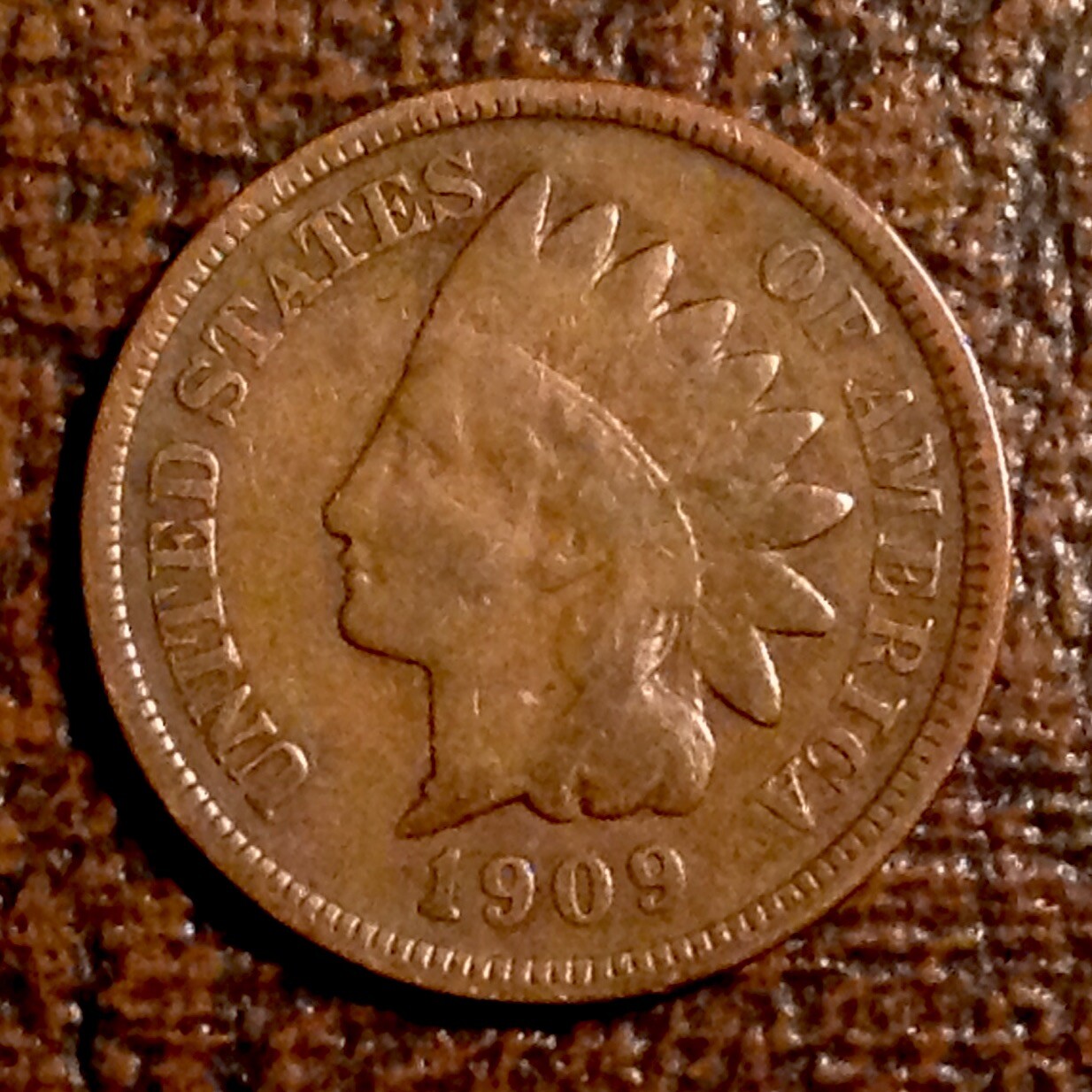 1909  Indian Head Cent   - FREE SHIPPING cd -